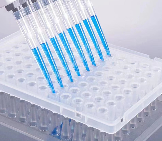 Ordinary pipette suction head